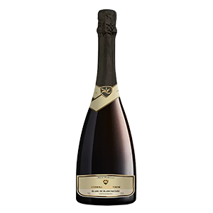 IMAGEM DO PRODUTO ESPUMANTE IRIBARREM BLANC DE BLANC NATUR