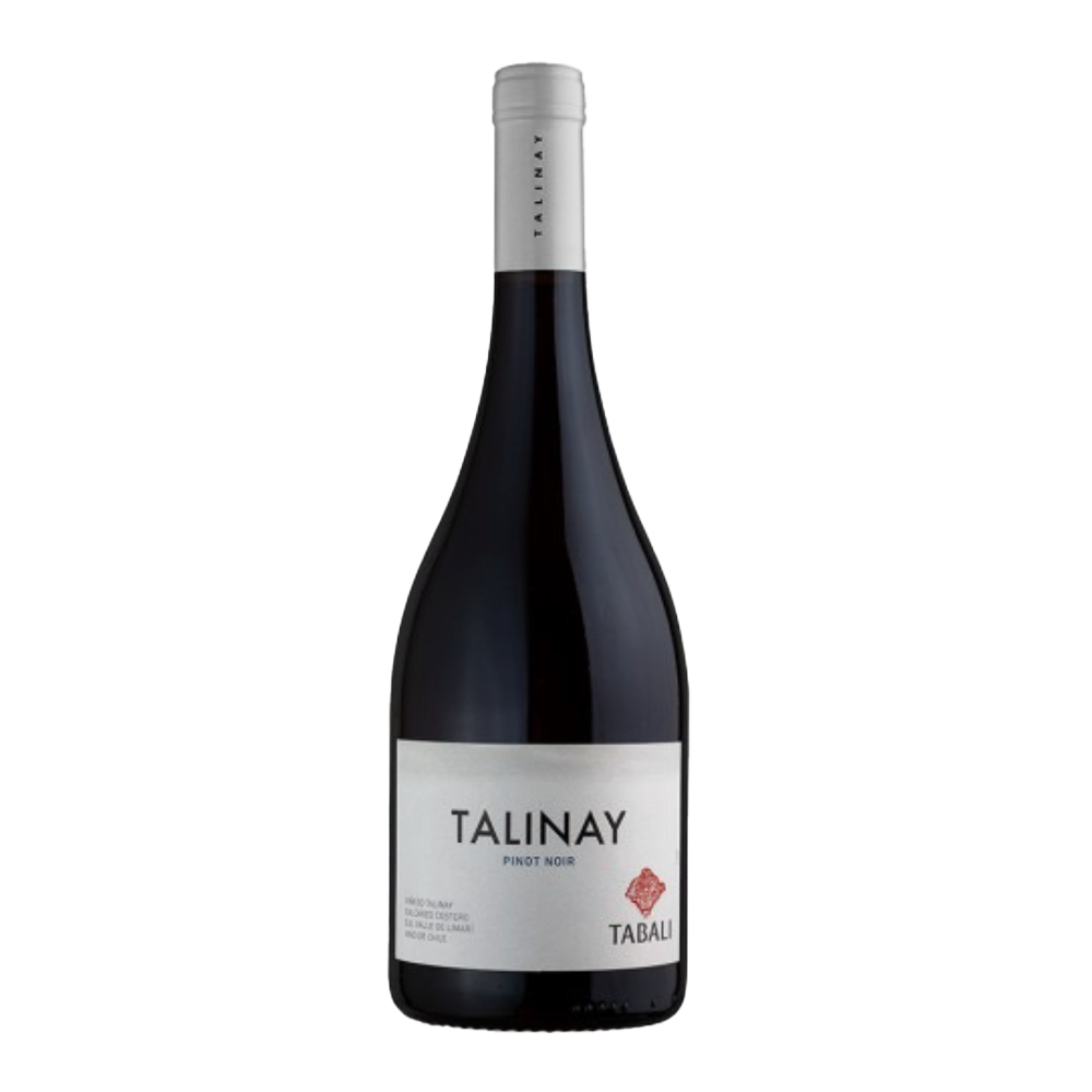 IMAGEM DO PRODUTO V. CHI TABALI TALINAY 750ML PINOT 2022