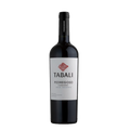 IMAGEM DO PRODUTO V. CHI TABALI PEDREGOSO 750ML CAR 2023