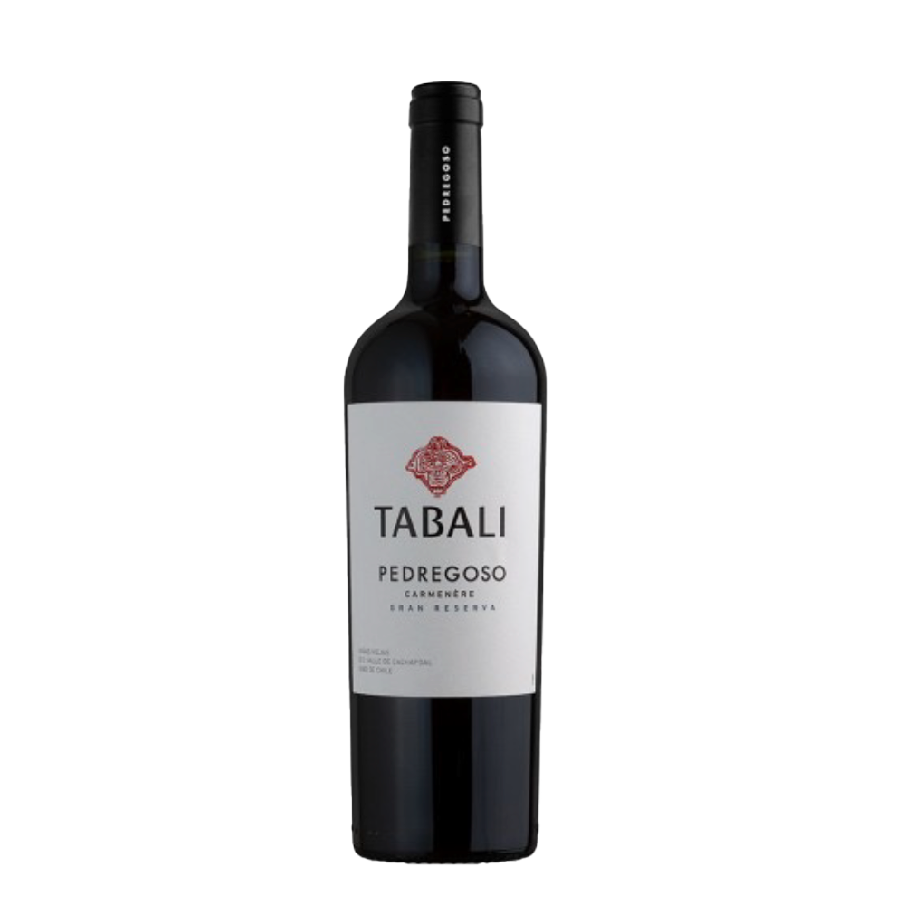 IMAGEM DO PRODUTO V. CHI TABALI PEDREGOSO 750ML CAR 2023