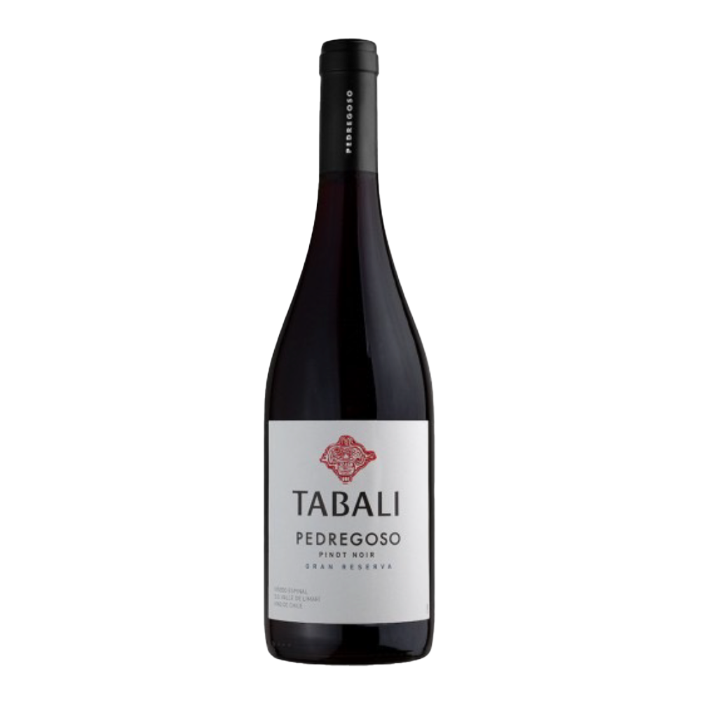 IMAGEM DO PRODUTO V. CHI TABALI PEDREGOSO 750ML PINOT 2023