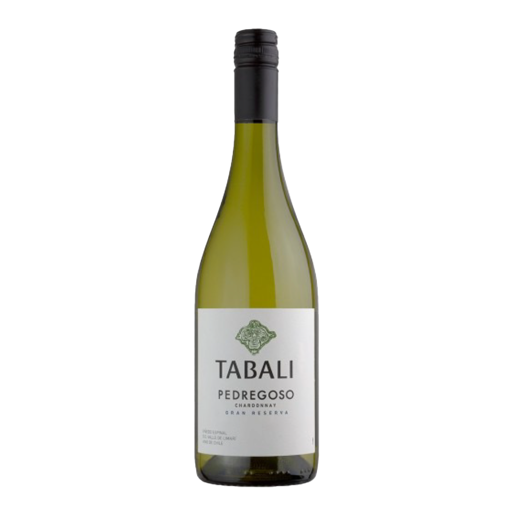 IMAGEM DO PRODUTO V. CHI TABALI PEDREGOSO 750ML CHAR 2023