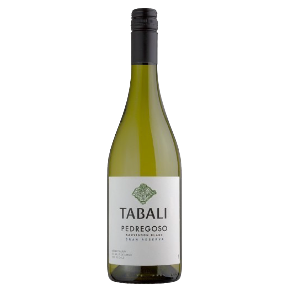IMAGEM DO PRODUTO V. CHI TABALI PEDREGOSO 750ML SAUV 2023