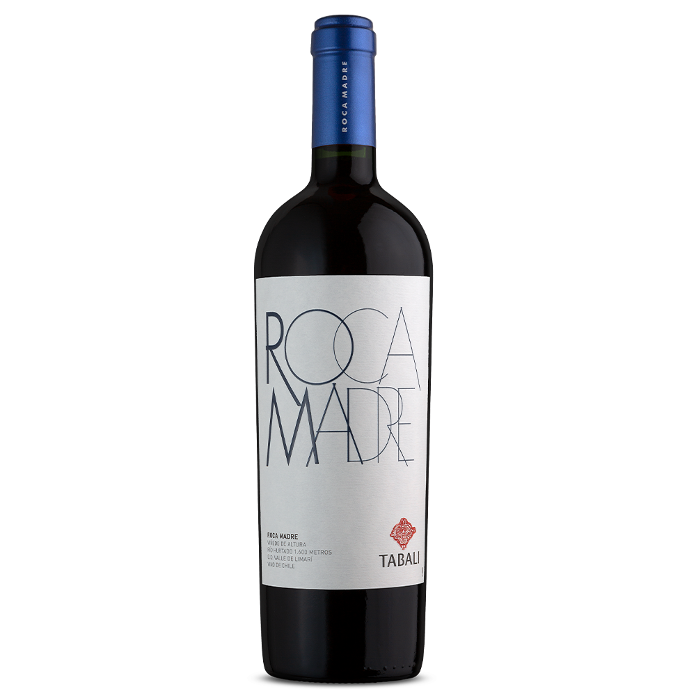 IMAGEM DO PRODUTO V. CHI TABALI ROCA MADRE MALBEC 750ML 19