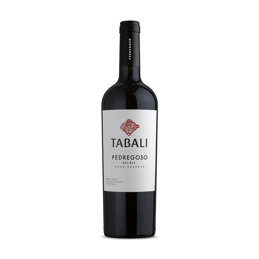 IMAGEM DO PRODUTO V. CHI TABALI PEDREGOSO 750ML MALBEC 23
