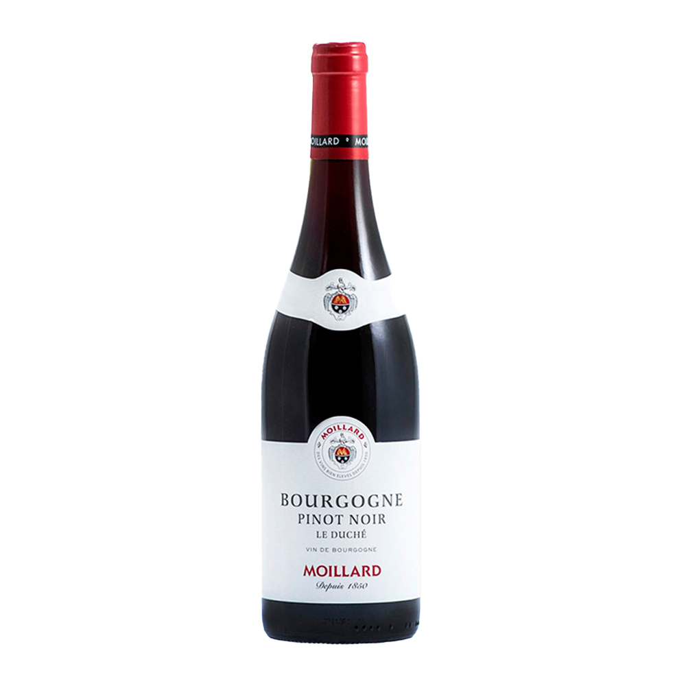 IMAGEM DO PRODUTO V. FR MOILLARD BOURGOGNE PINOT NOIR 2021