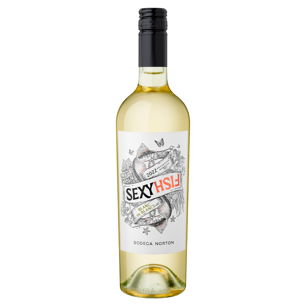IMAGEM DO PRODUTO V. ARG NORTON SEXY FISH B. D BLANCS 2024