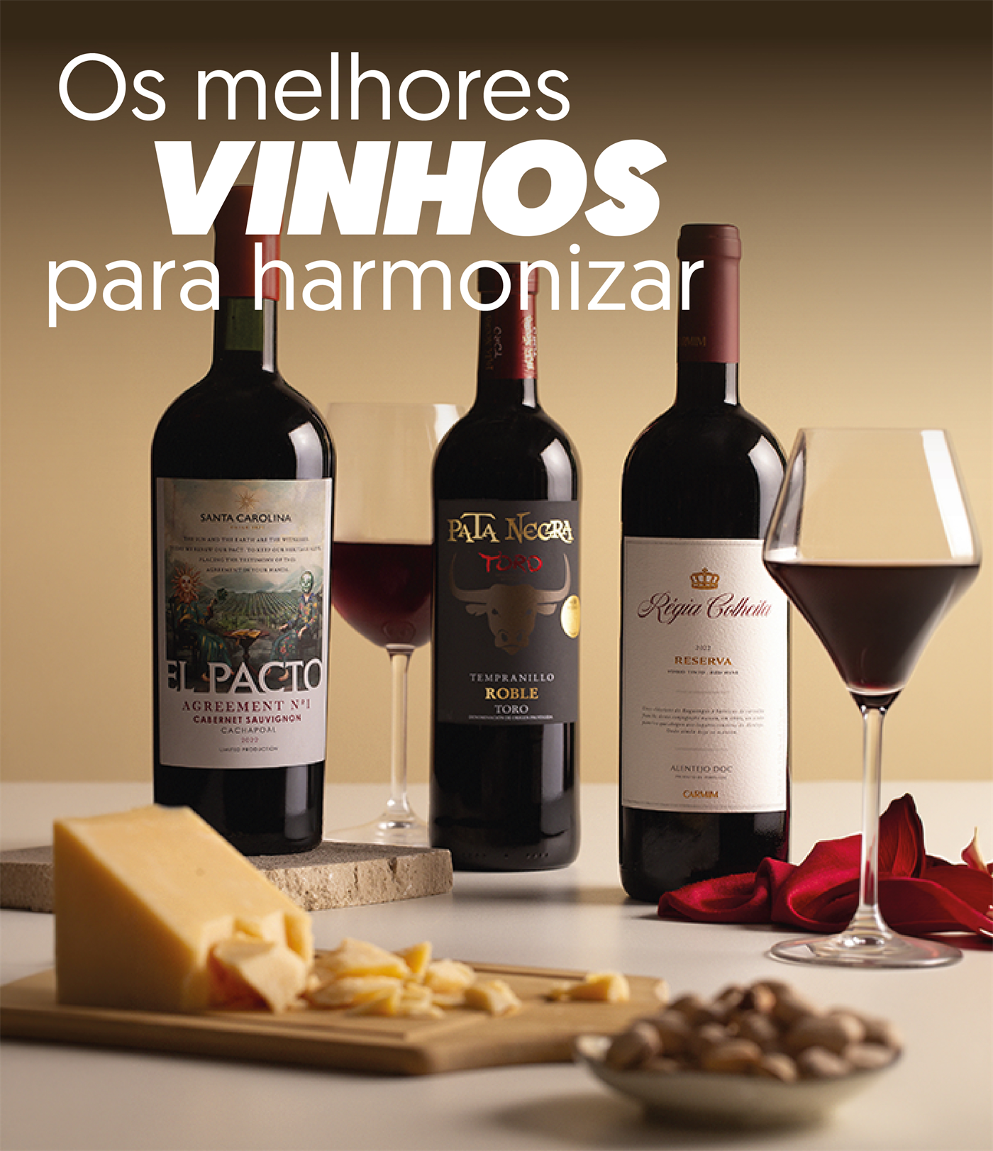 Os melhores vinhos para harmonizar